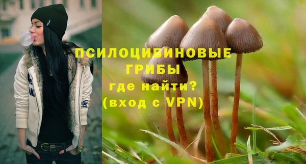 стаф Нефтекумск